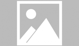 萨顶顶万物生视频,探寻生命之源的奇幻之旅